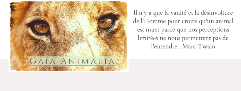 Gaia Animalia 